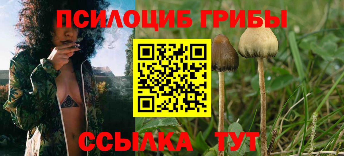Псилоцибиновые грибы прущие грибы  Вход с VPN  Шадринск 